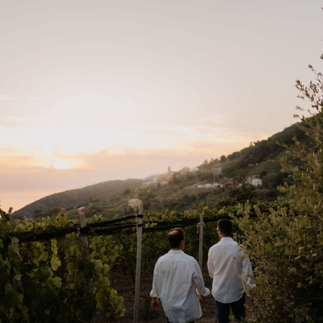 Boutique Winery Visit with Food &amp; Wine Tastings in Cinque Terre