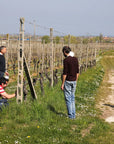 Tour and Tasting of 3 Lugana Wines