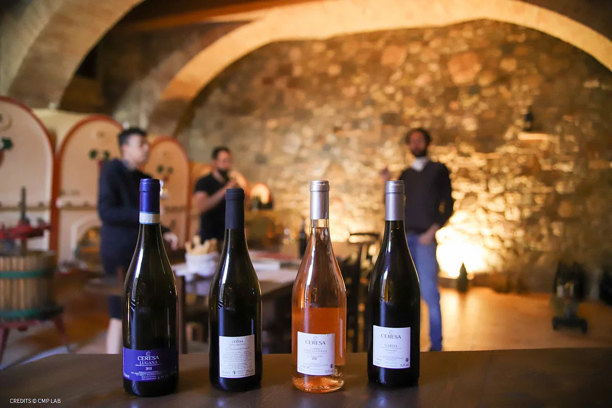 Tour and Tasting of 3 Lugana Wines