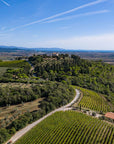 Wine Tasting with Local Food Pairing near Livorno