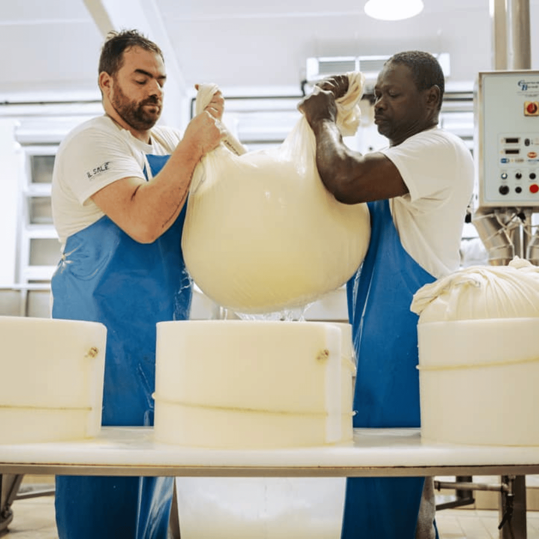 Parmesan Cheese Factory Tour &amp; Tasting near Parma