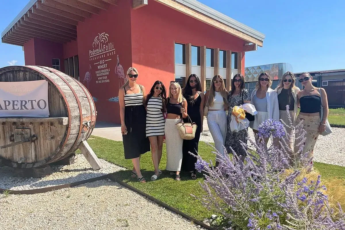 Wine Tour and Tasting of 4 Rosè Valtenesi Wines in Polpenazze