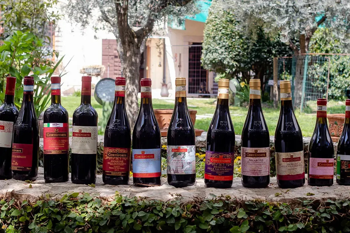 Wine tour and tasting of 4 Valpolicella Wines in a Medieval Court