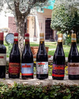 Wine tour and tasting of 4 Valpolicella Wines in a Medieval Court