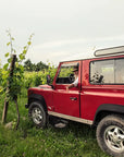 4x4 Vineyard Tour with WineTasting Experience