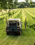 4x4 Vineyard Tour with WineTasting Experience