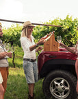 4x4 Vineyard Tour with WineTasting Experience