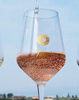 Tasting of 6 rosè and white wines in Bardolino with Lake View