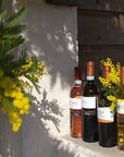 Tasting of 6 rosè and white wines in Bardolino with Lake View