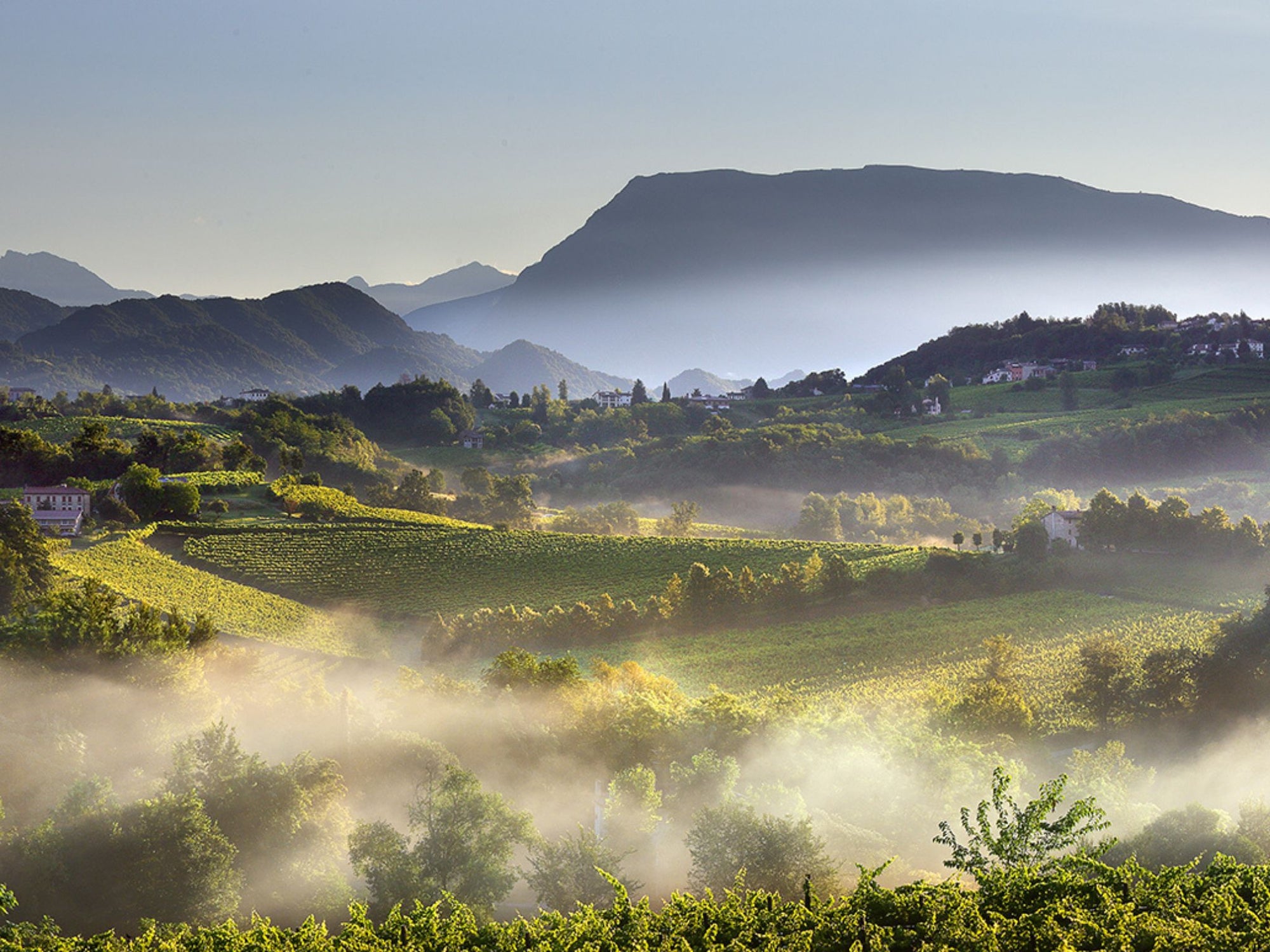 Prosecco Winery Tasting with Food Pairing near Venice