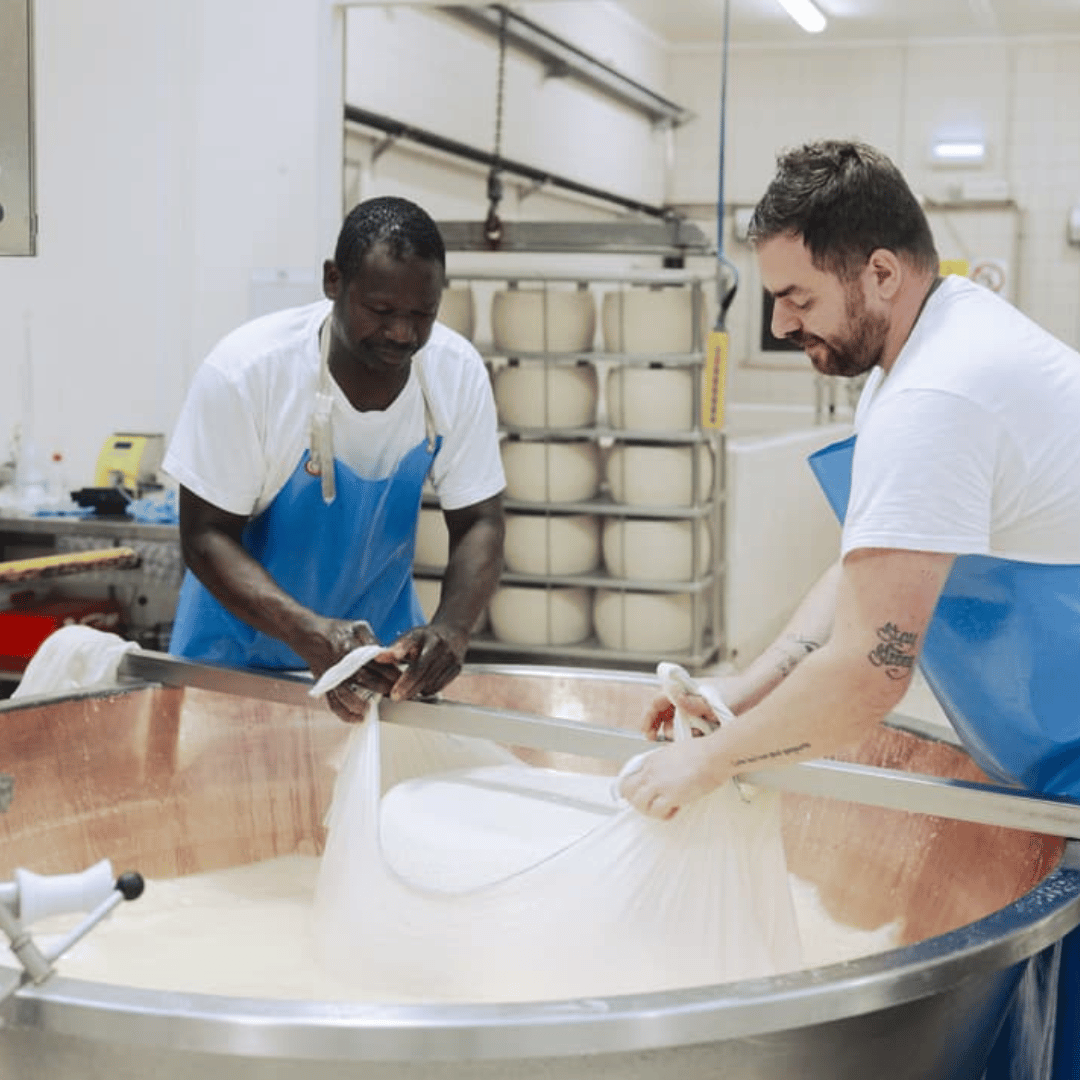 Parmesan Cheese Factory Tour & Tasting near Parma