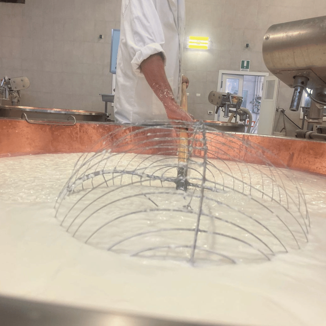 Parmesan Cheese Factory near Modena: Tasting & Tour