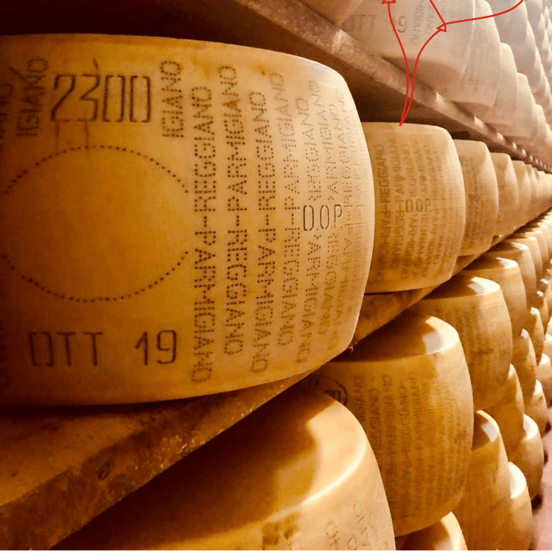 Parmesan Wheels near Parma: Tasting &amp; Factory Tour