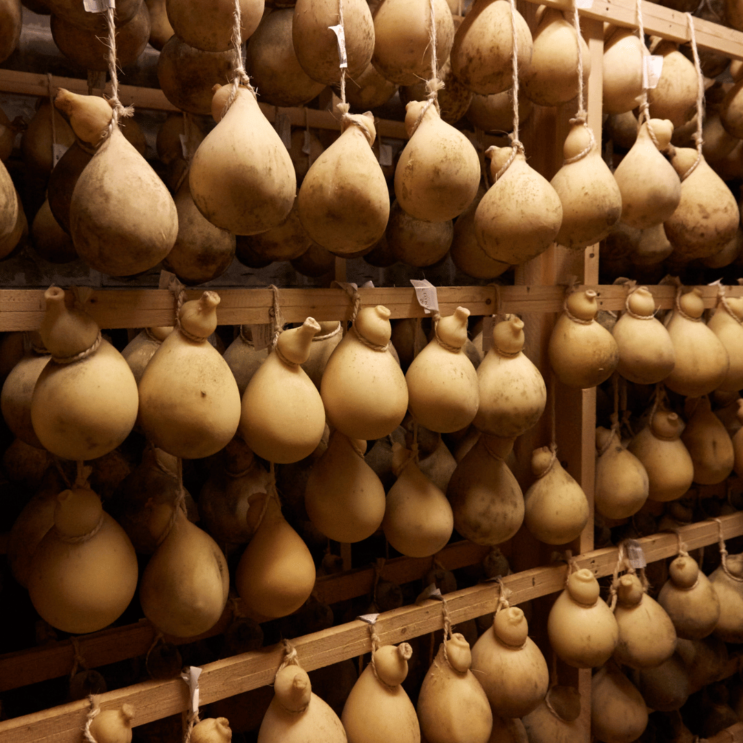 Traditional Cheese Factory Visit with Tasting in Isernia Countryside