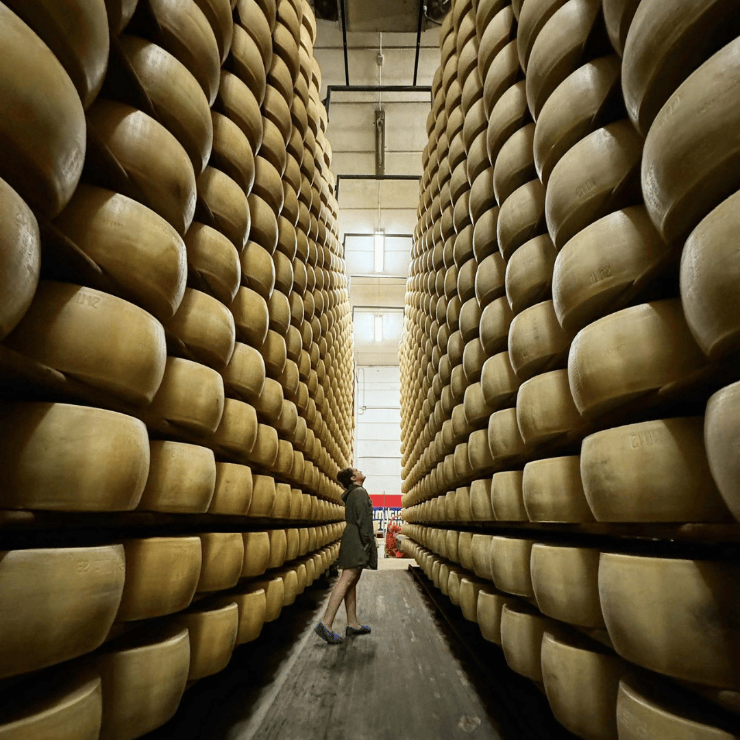 Modena: Parmesan Cheese Tour &amp; Tasting