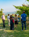 Wine tour and Tasting in a small Estate on Valpolicella Hills