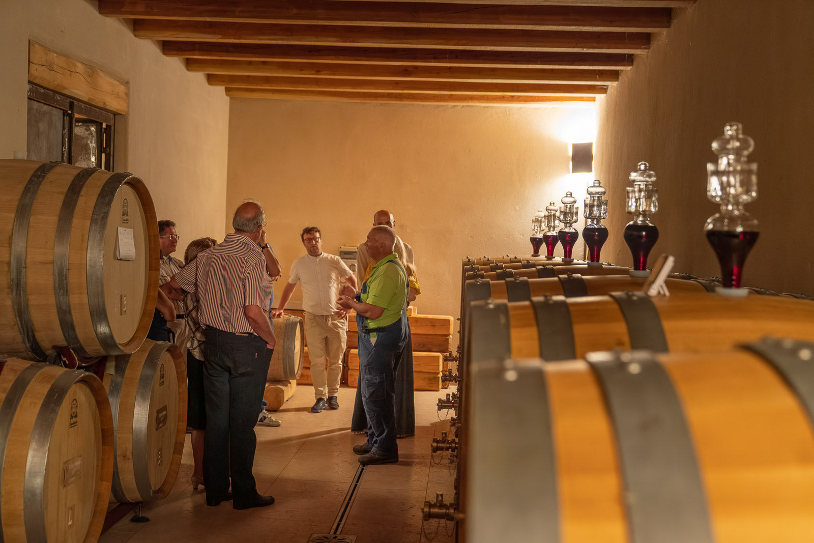 Wine tour and Tasting in a small Estate on Valpolicella Hills