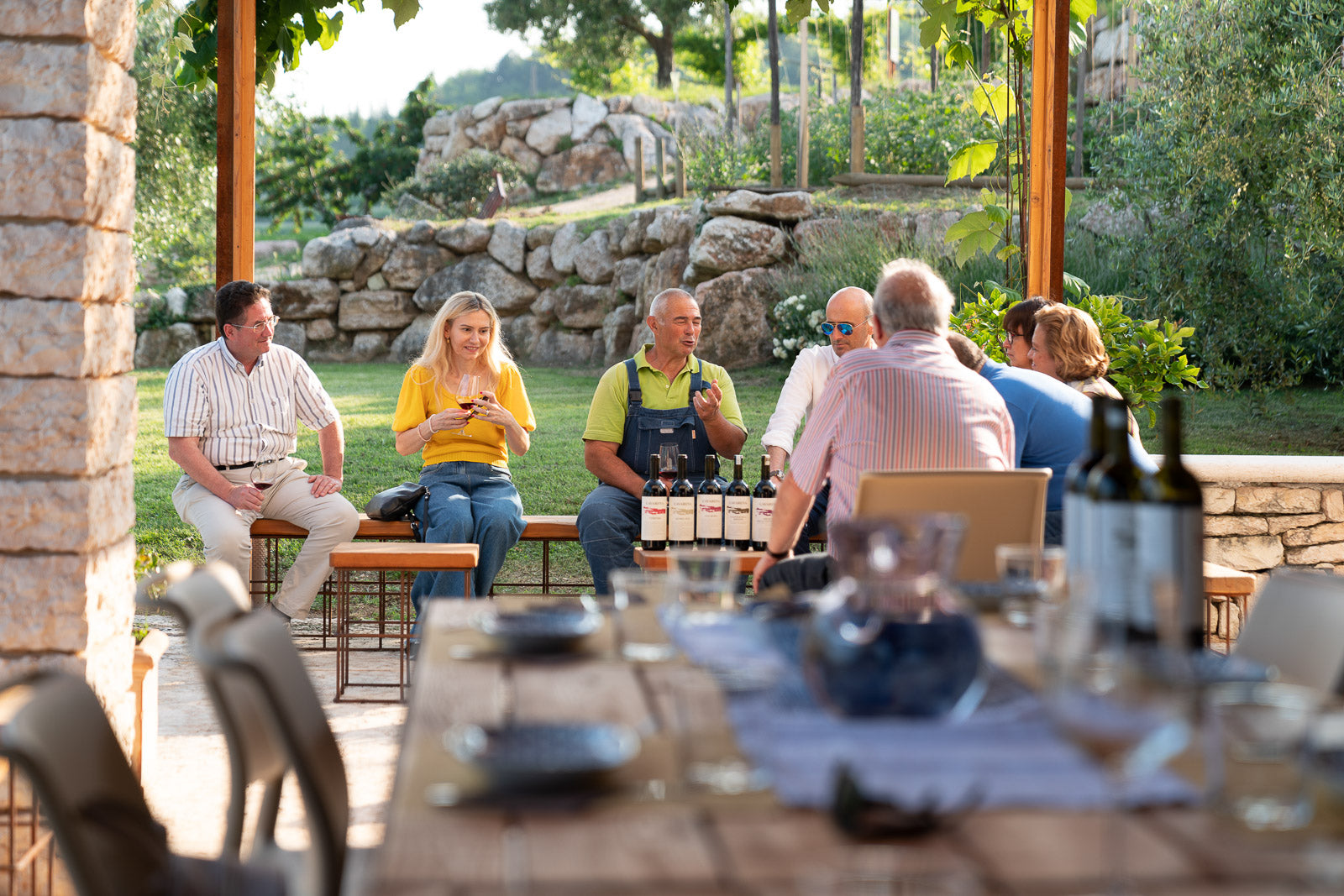 Wine tour and Tasting in a small Estate on Valpolicella Hills