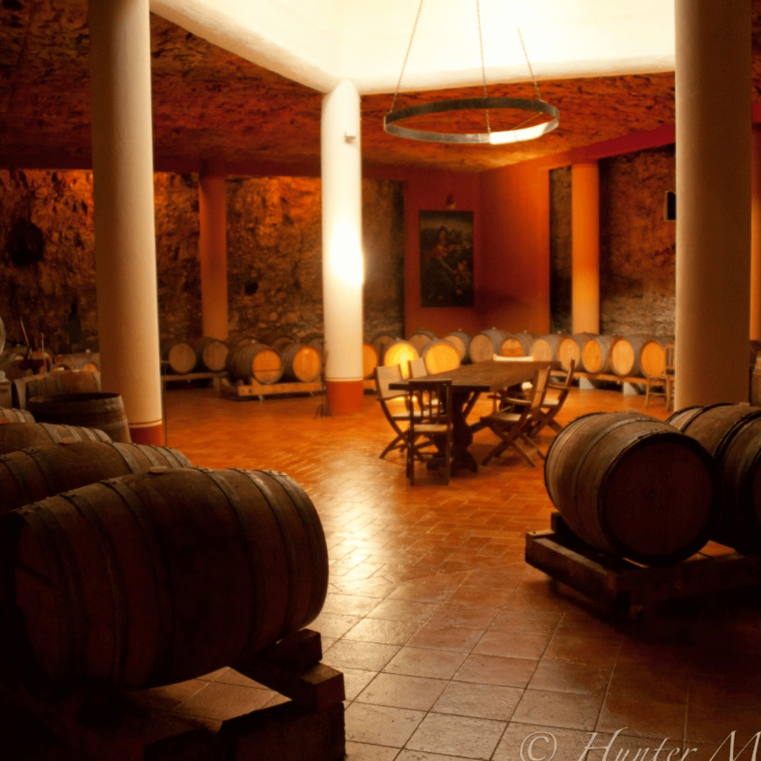 Vicenza: Vineyard Walk &amp; Wine Tasting in the Berici Hills