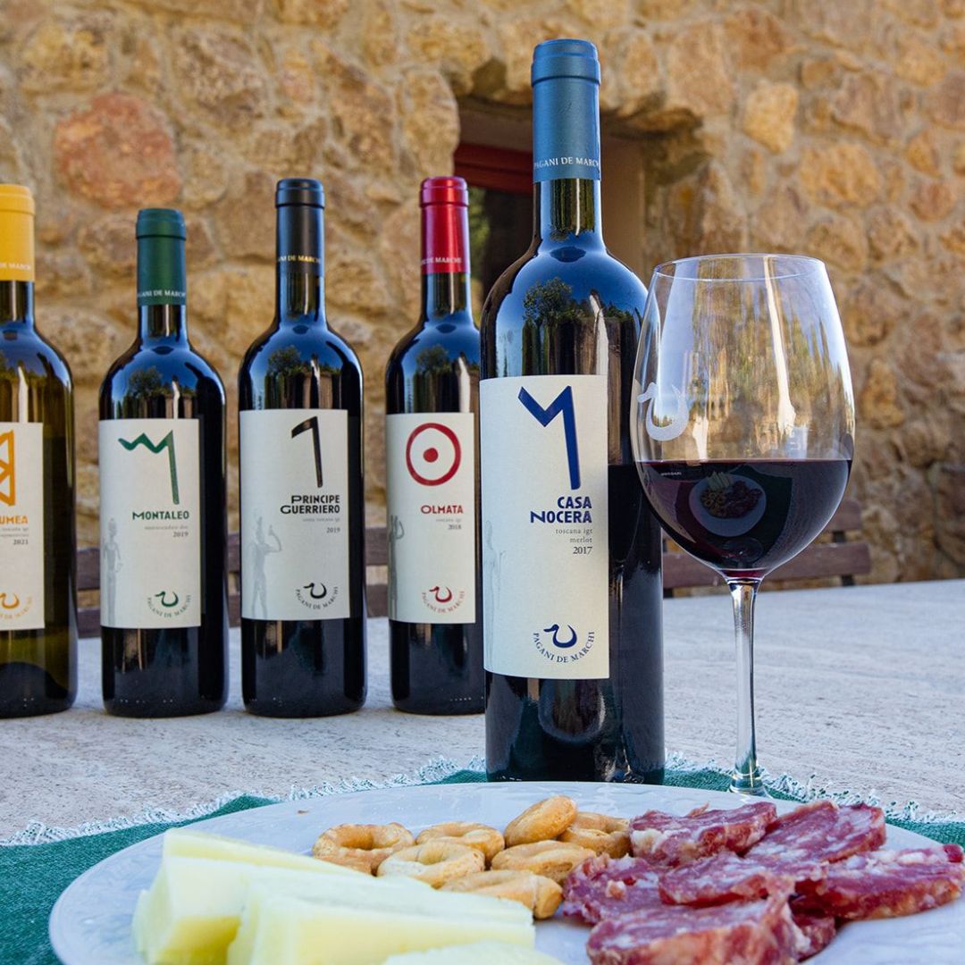 Winery Tour and Wine Tasting with Food near Livorno and Pisa