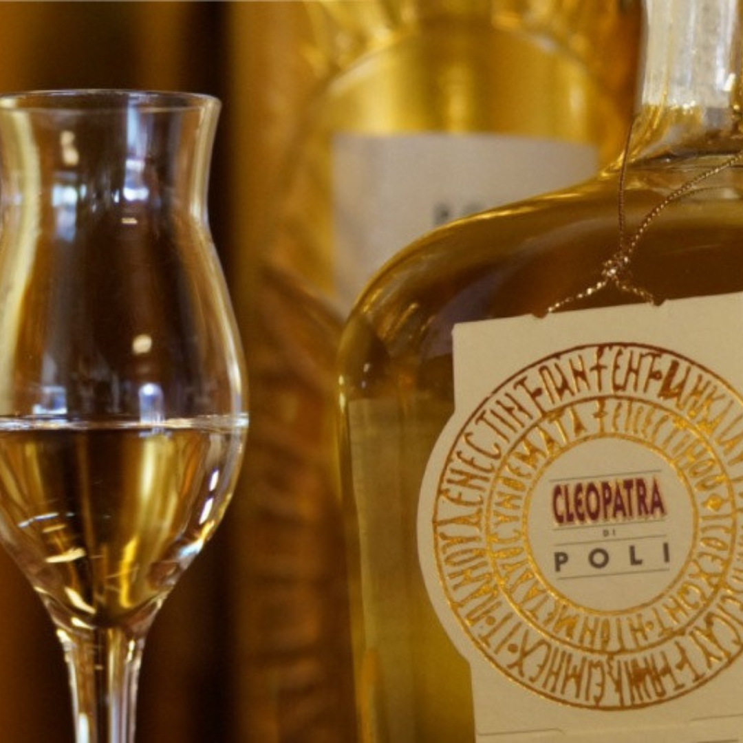 Grappa Tasting Experience in Venice