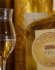 Grappa Tasting Experience in Venice