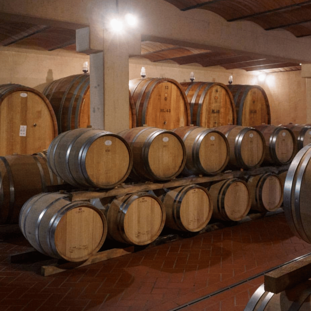 Winery Visit &amp; Tasting near Grosseto with 6 wines