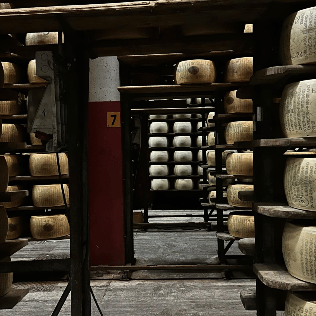 Modena: Parmesan Cheese Tour &amp; Tasting