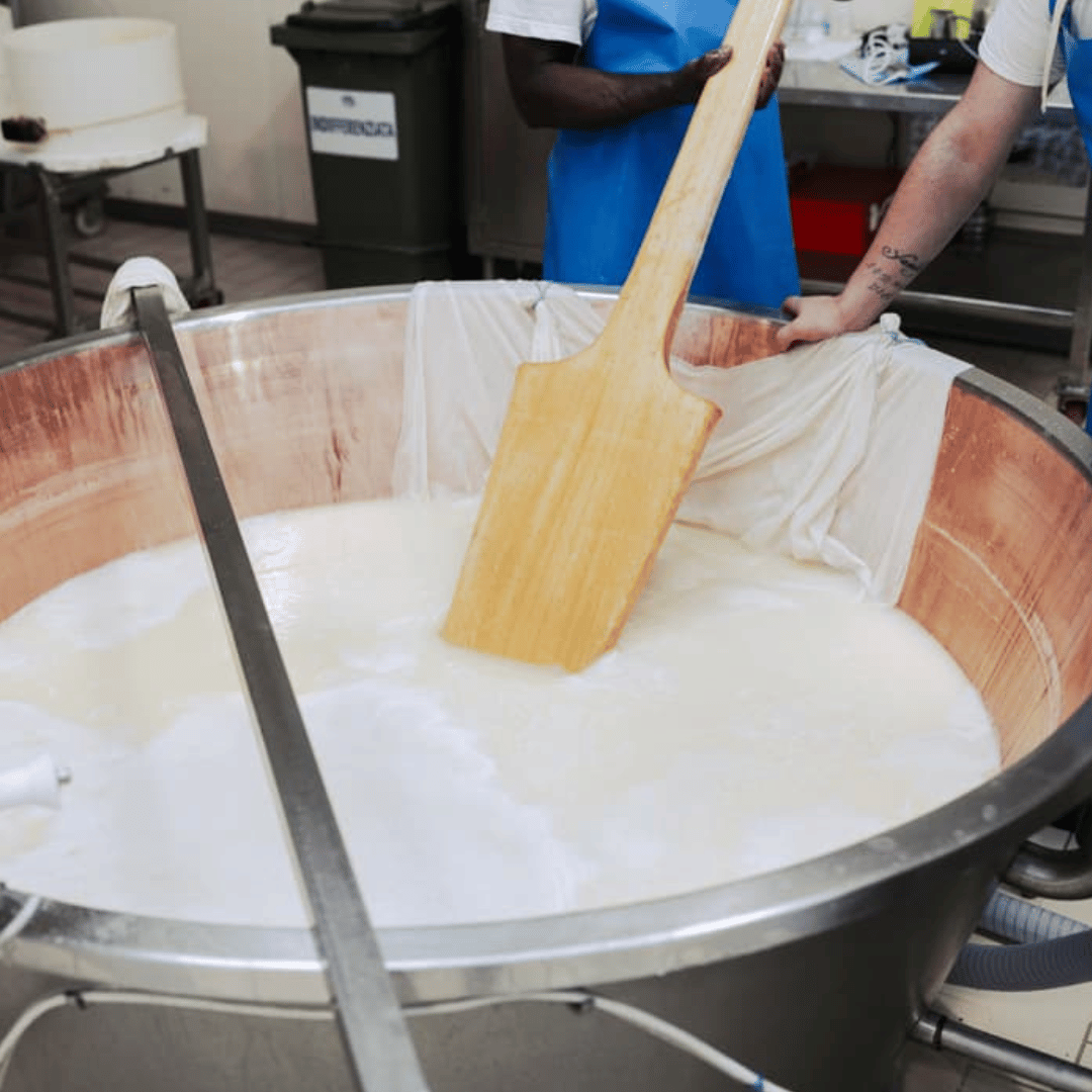 Parmesan Cheese Factory Tour &amp; Tasting near Parma