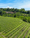 Wine Tasting and Food Parings in Langhe and near Alba