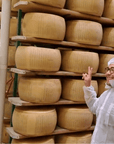 Parmesan Cheese Factory Tour & Tasting near Parma