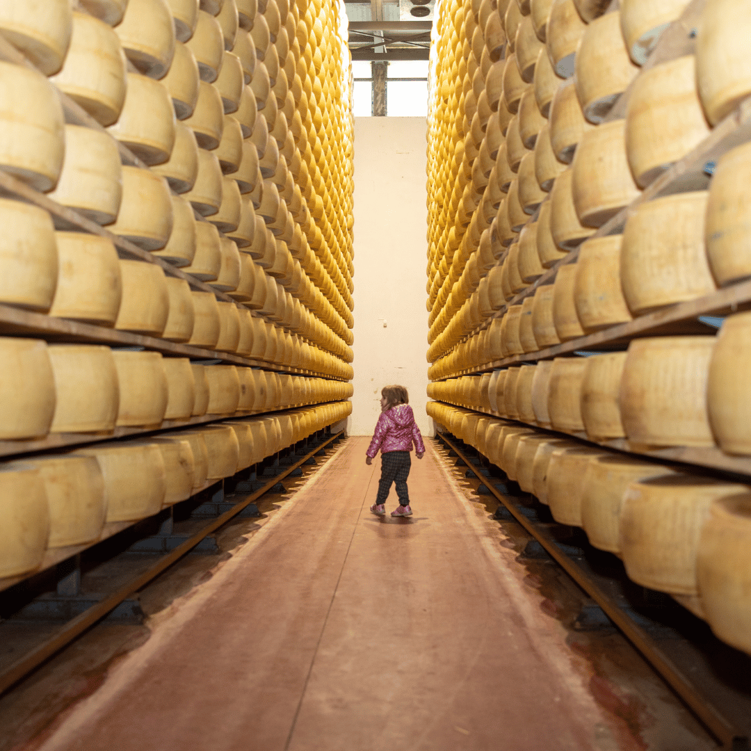 Parmesan Cheese Factory near Modena: Tasting &amp; Tour