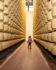 Parmesan Cheese Factory near Modena: Tasting & Tour