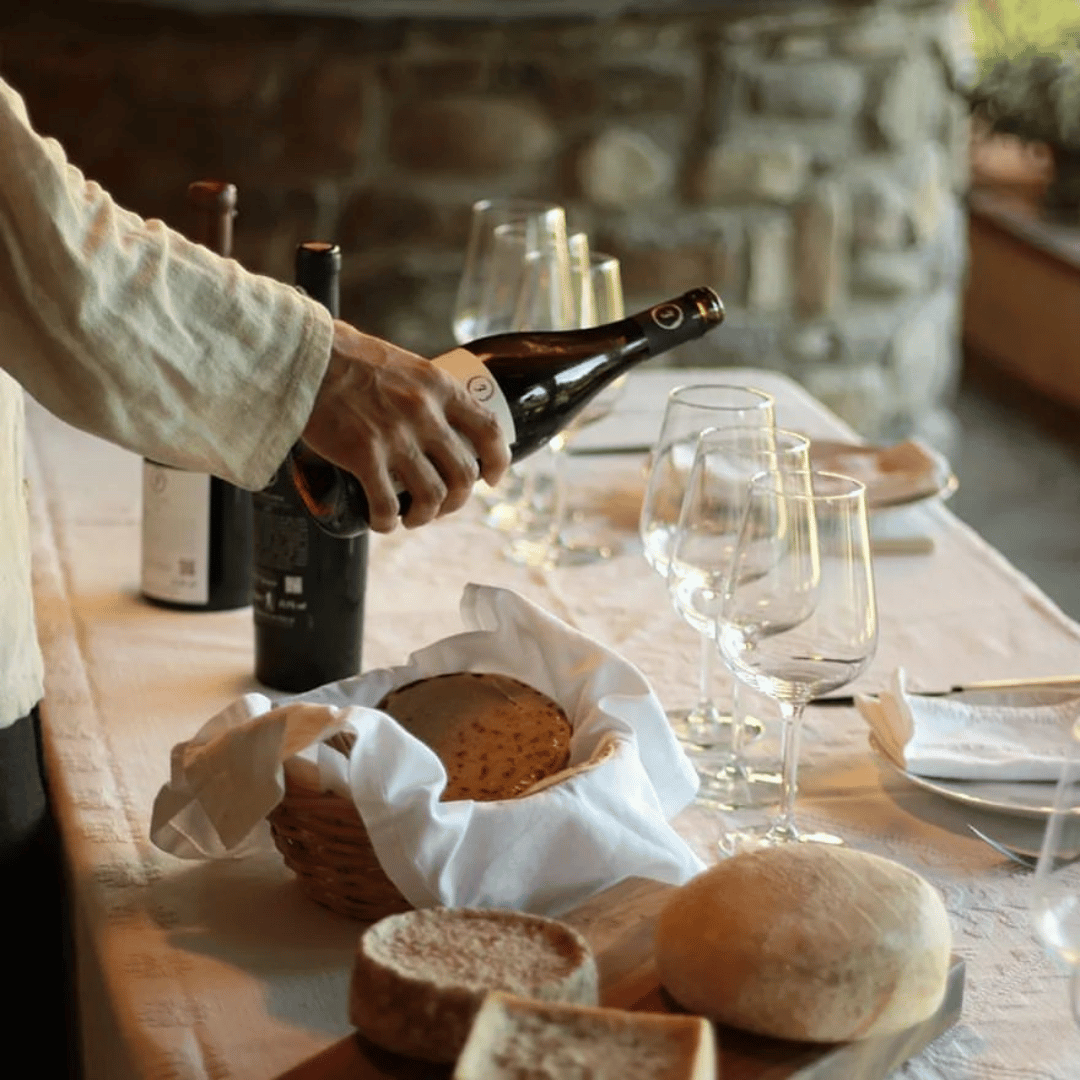 Boutique Winery Tour &amp; Tasting in North Tuscany