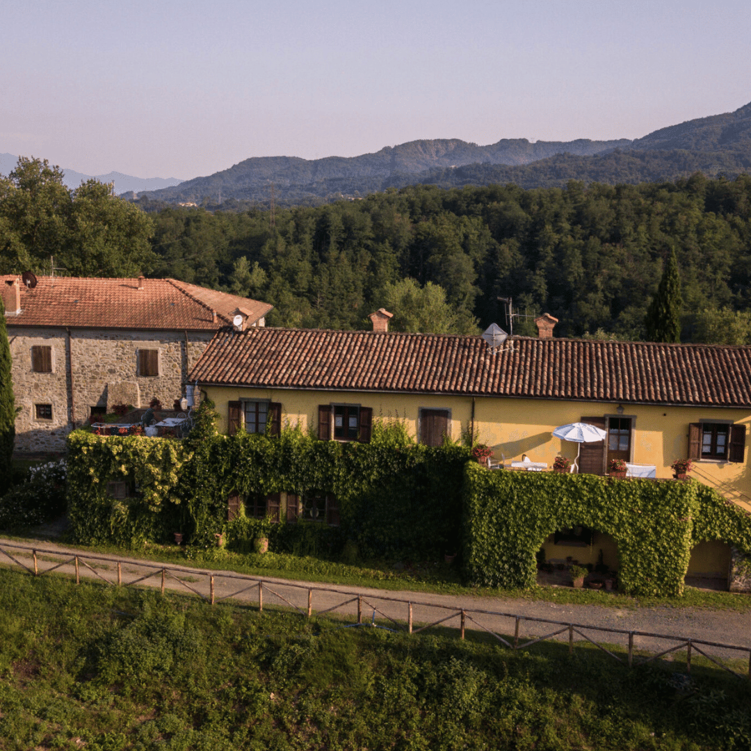 Boutique Winery Tour &amp; Tasting in North Tuscany