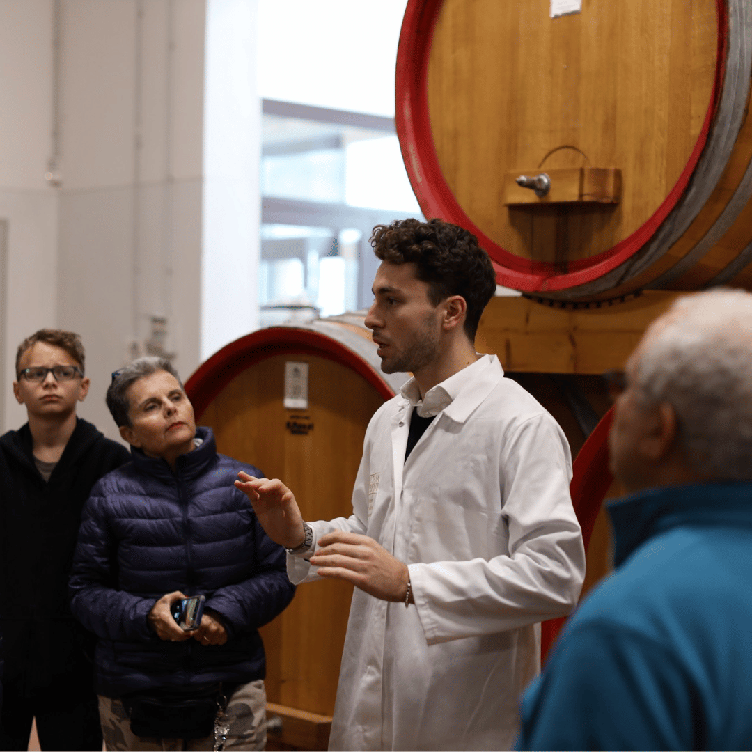 Modena: Balsamic Vinegar Tasting &amp; Production Tour