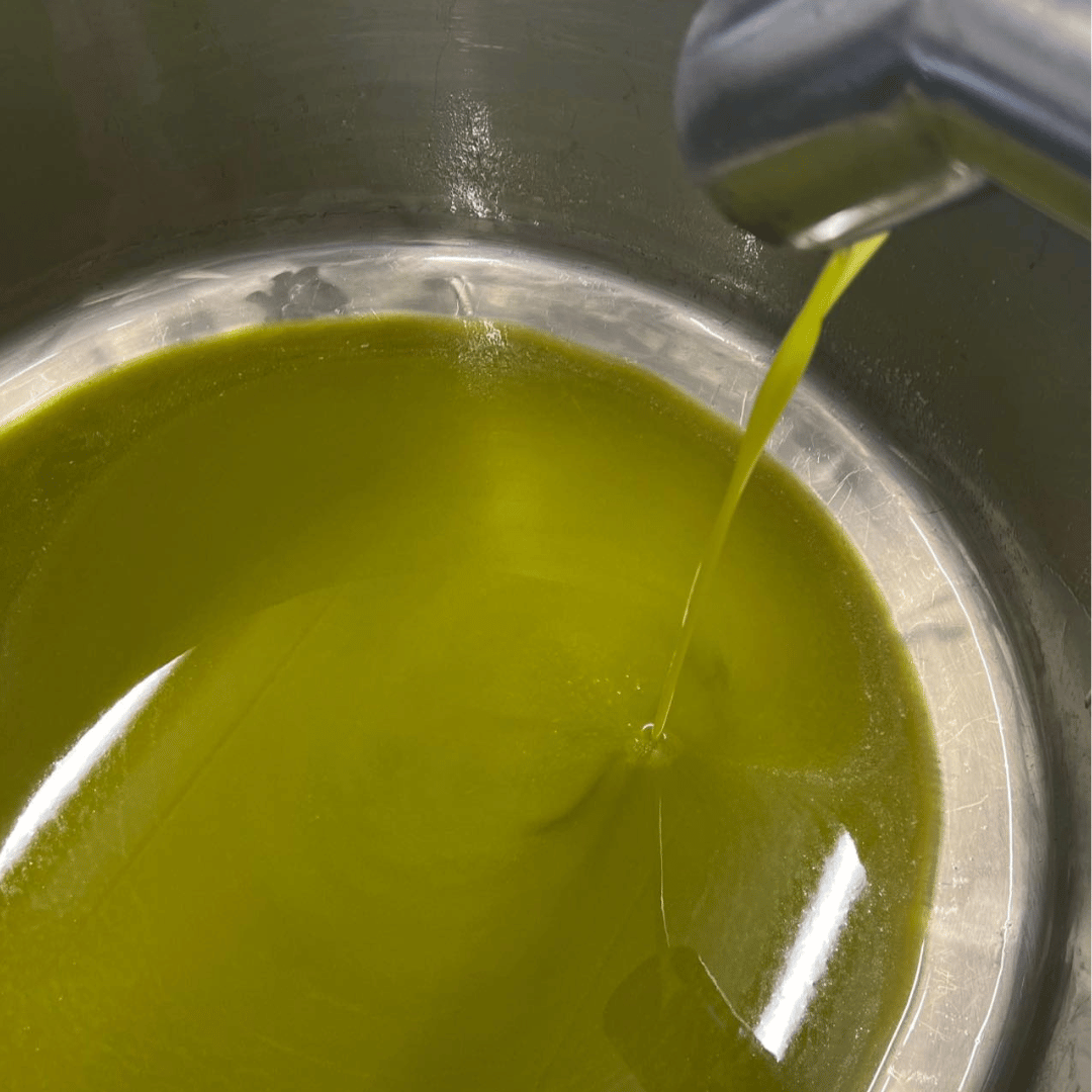 Olive Mill Tour and Tasting in the Padua Hills