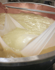 Modena: Parmesan Cheese Tour & Tasting