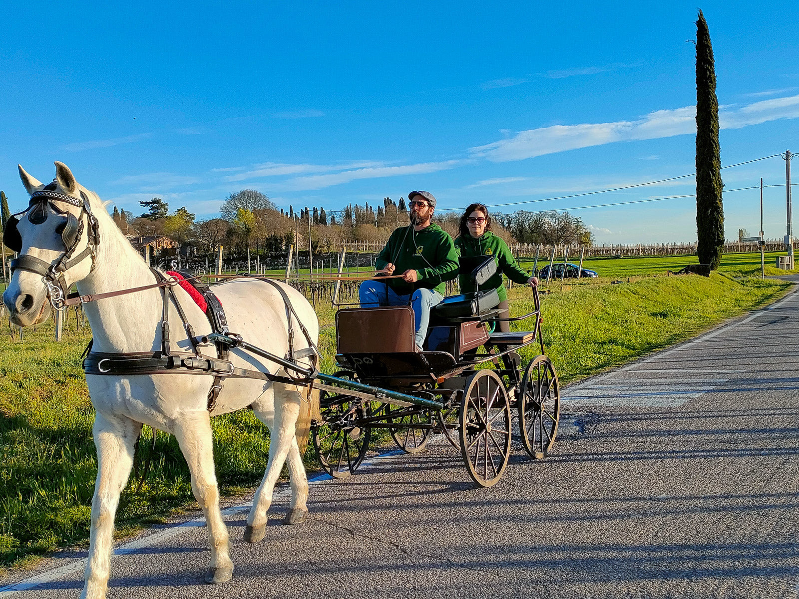 Horse Carriage Tour and tasting of local food in Lazise