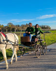 Horse Carriage Tour and tasting of local food in Lazise