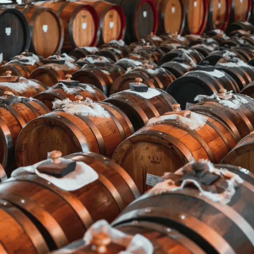 Modena: Balsamic Vinegar Tasting &amp; Production Tour