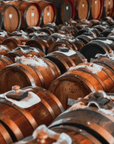 Modena: Balsamic Vinegar Tasting & Production Tour