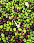 Olive Mill Tour with Oil & Food Tasting near Siena & Perugia