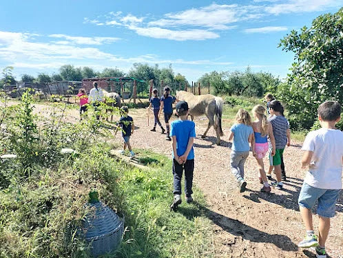 Grosseto: visit the family farm with tasting of local food at Agriturismo Lillastro