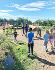 Grosseto: visit the family farm with tasting of local food at Agriturismo Lillastro