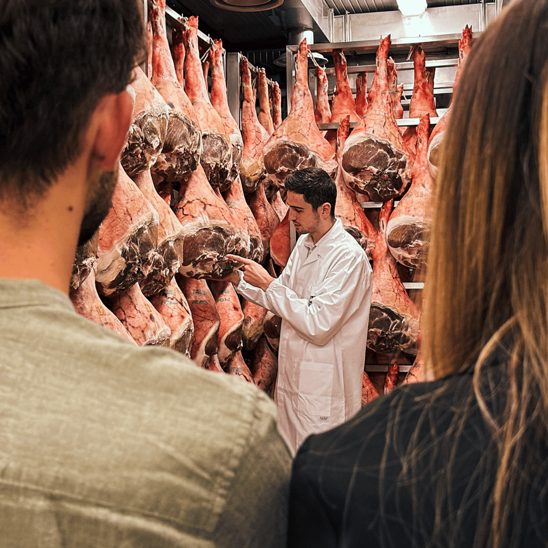 Prosciutto Crudo Ham Factory Visit near Udine & Tasting Lunch with Wine