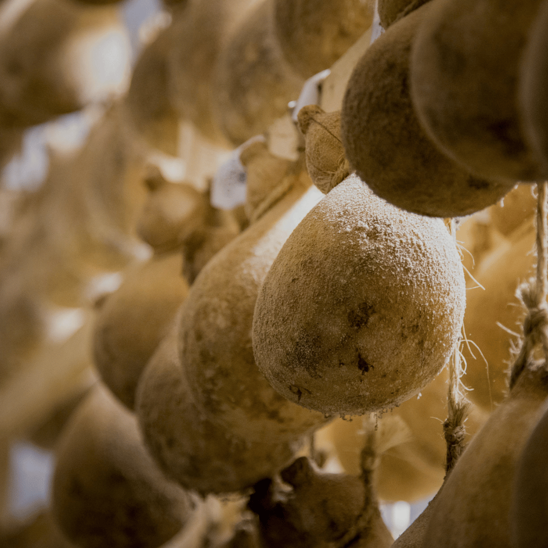 Traditional Cheese Factory Visit with Tasting in Isernia Countryside