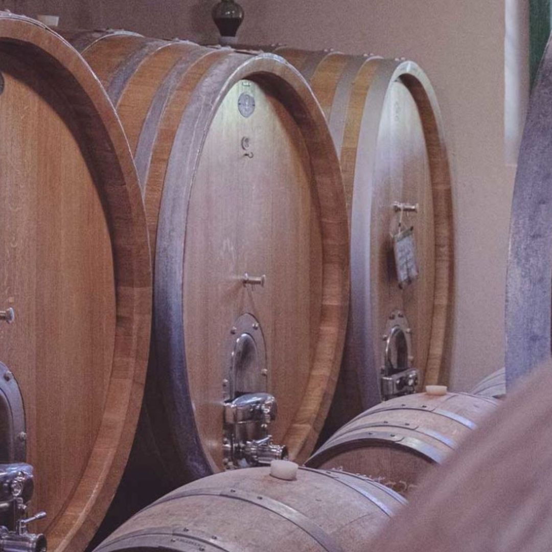 Organic and Biodynamic Winery Tour and Tasting in Lucca