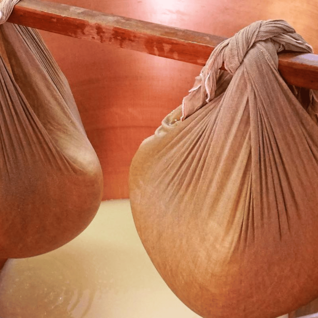 Parmesan Wheels near Parma: Tasting &amp; Factory Tour