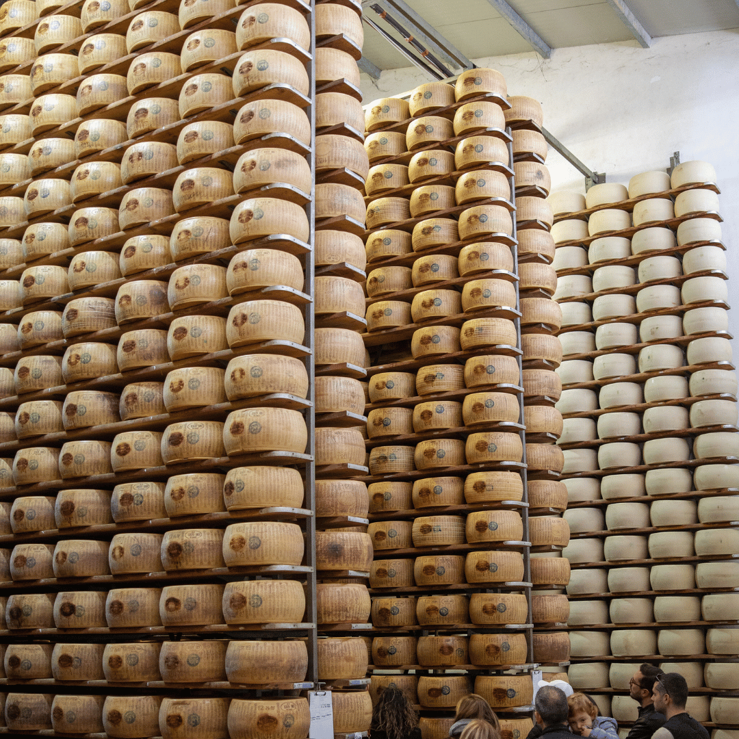 Parmesan Cheese Factory near Modena: Tasting &amp; Tour